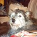marilyn hull-parkes (@marilynhullpark) Twitter profile photo marilyn hull-parkes (@marilynhullpark) Twitter profile photo