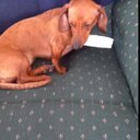 Kelly Bach - @Rbba937Kelly - Twitter