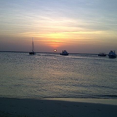 Mattedi2004's profile picture. 