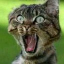 Steve Nieman - @NiemanSteve - Twitter