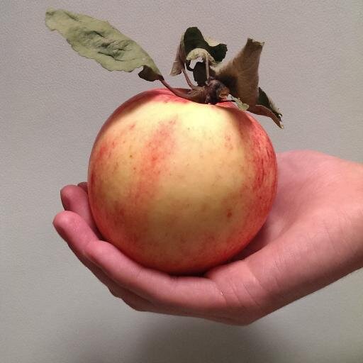 Serggrom's profile picture. Семья, теннис, природа, фитнес и ПП.