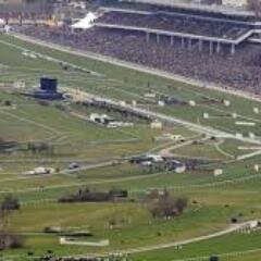 Cheltenhamtips1 Profile Picture