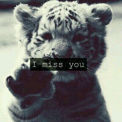 liefdeswaarden tweet over :            liefdesverdriet° foto's ° love °