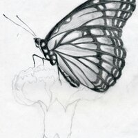 M3 (@m3_ano) 's Twitter Profile