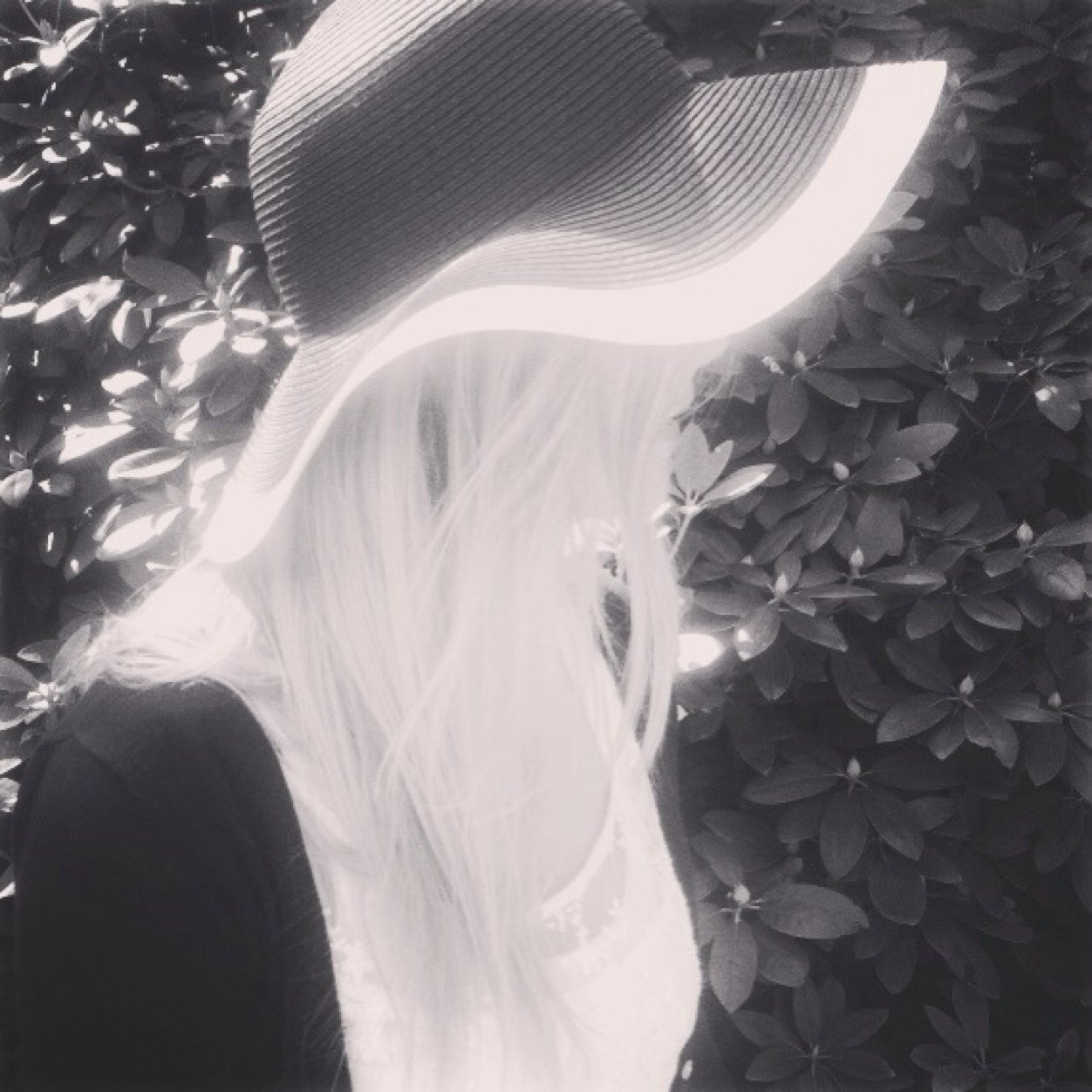 barbarav_x Profile Picture