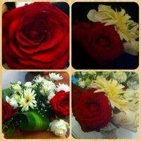 هواااااجيس!!!  (@at_dandona) Twitter profile photo