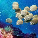 Rabia Usman - @usman78685 - Twitter