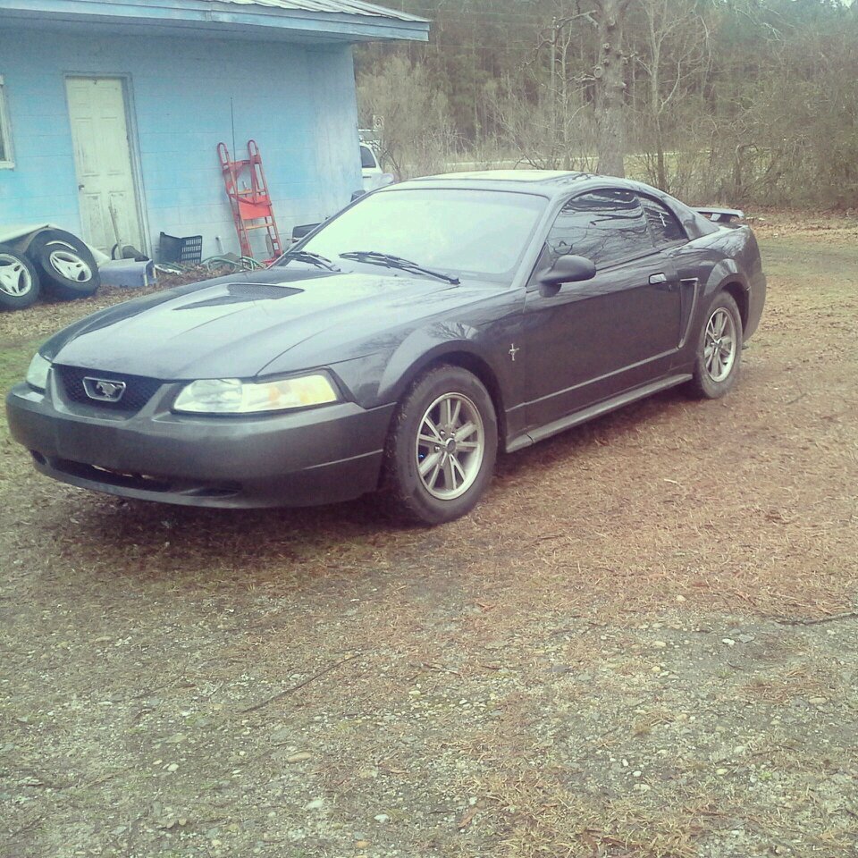 #Ford #MudLife #420 #teamruger