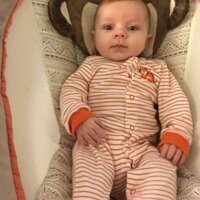 Steve Maga (@maga_steve) 's Twitter Profile