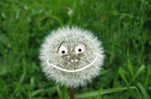 EvgeniaChashka's profile picture. Несостоявшийся театровед... :(