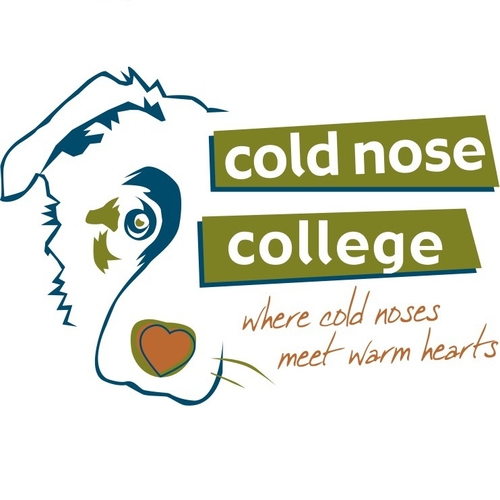 coldnosecollege's profile picture. Keeping dogs in their forever homes thru education, force-free training and fun weekend workshops for learning.  We make training FUN for you and your dog!