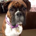 neil brooks - @NeilBrooksie - Twitter