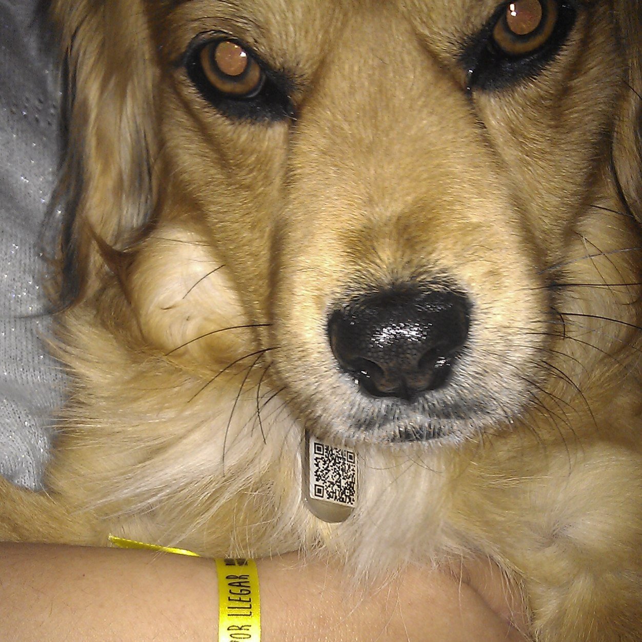 NoheCuky's profile picture. .