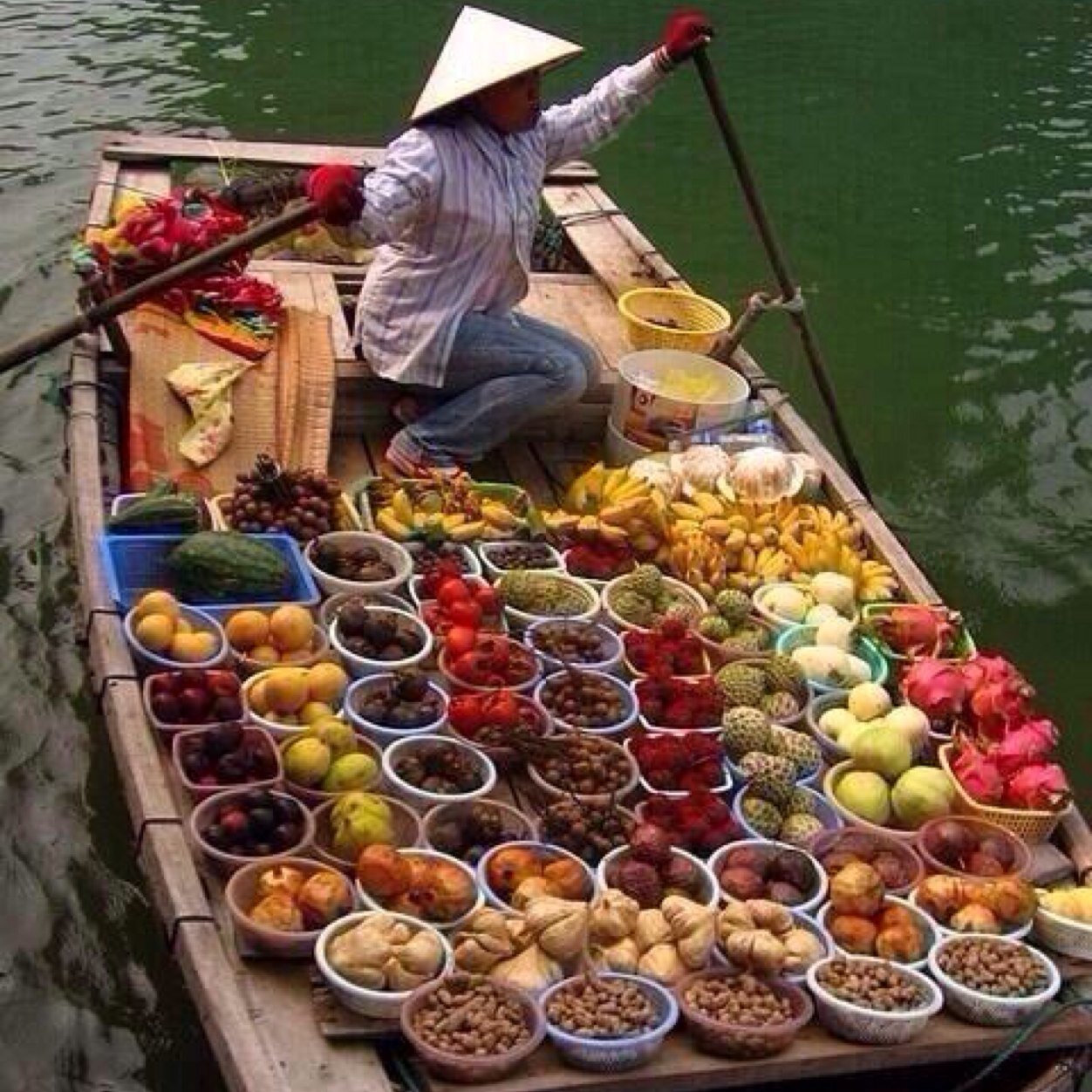 mihai_dimitriu's profile picture. 