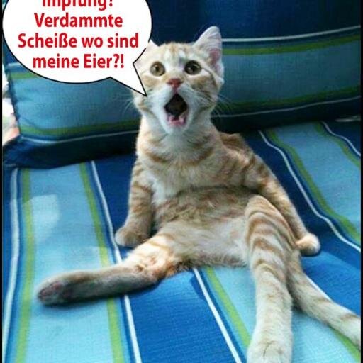 So chli vo dem den gits en käss