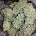 ChaseWitDaClamps - @ChaseCasto - Twitter