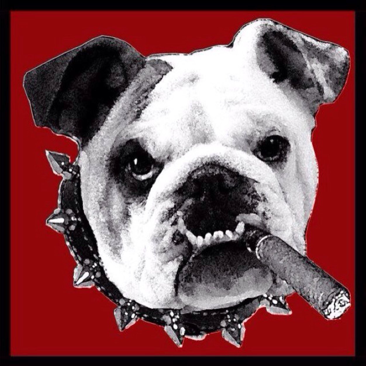 I'm a Bulldog