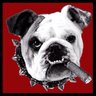 mcgrubbs's profile picture. I'm a Bulldog