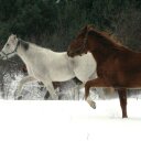 Juli McDonald - @jewlsrules70 - Twitter