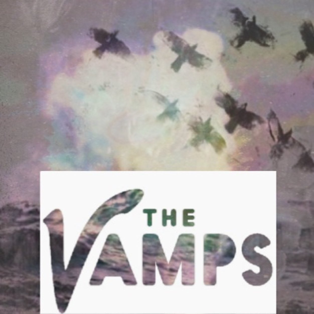 Free Follow from @TheVampsSecret