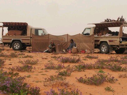 dfgh33442's profile picture. 