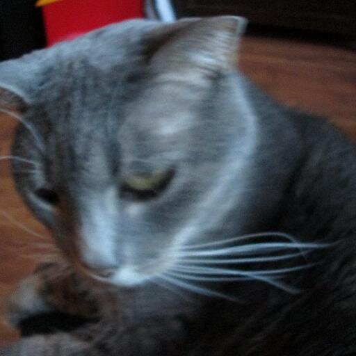 hannahfeehanfor's profile picture. 