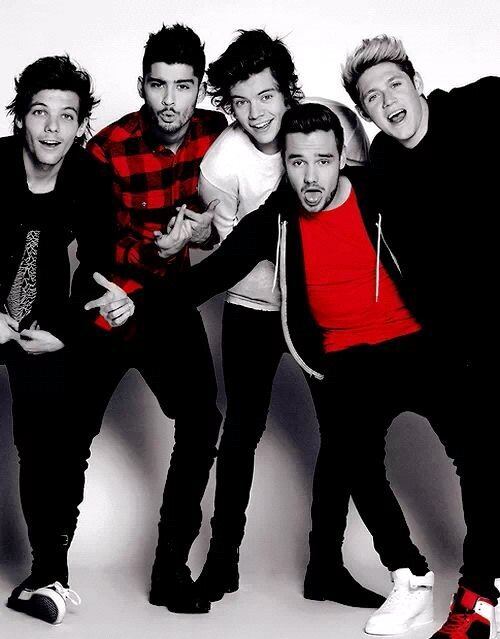 ONE DIRECTION IS MY LIFE BITCH