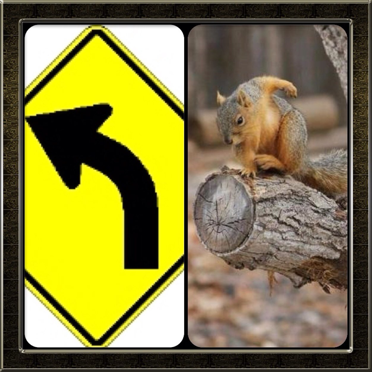 hofirandomness's profile picture. Random thing Hofi the over eager biggest nerdy asian giant who is a carasmatic ladies man says man in question