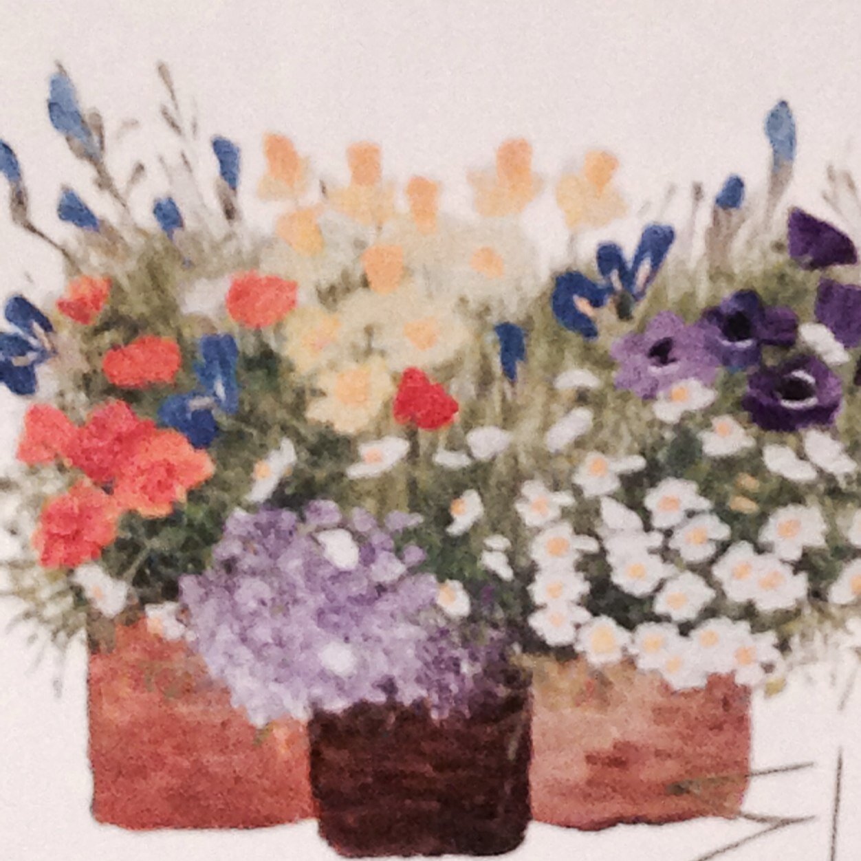 marcy0410's profile picture. 