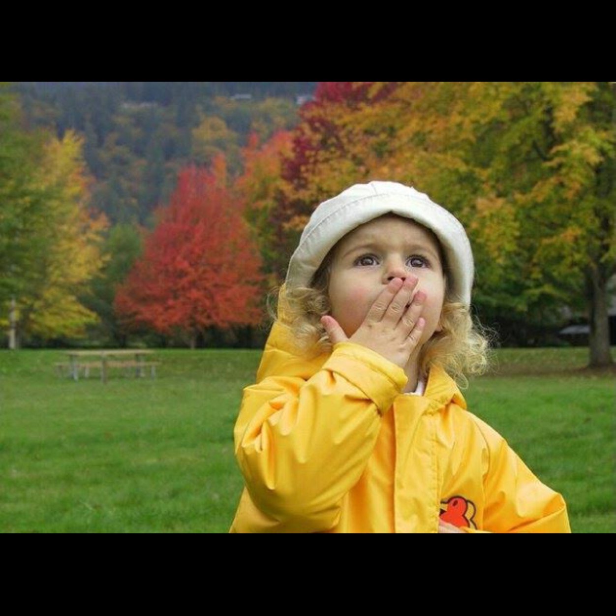 nnmmsh's profile picture. الحمدلله