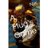 NIKUKPunting's profile image