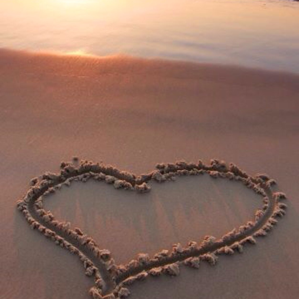 zuttokonomamade's profile picture. 