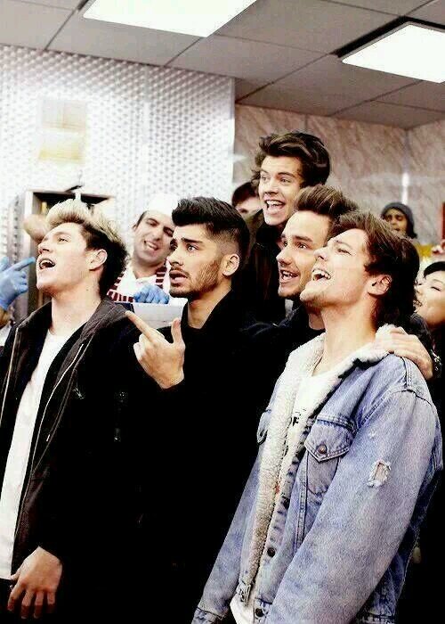 alexandralorey's profile picture. -sigo viva.