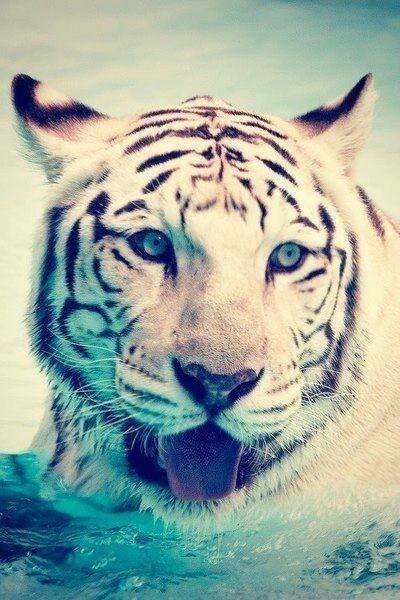 karrillo2002's profile picture. 