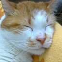 William Derksen - @DerksenWilliam - Twitter