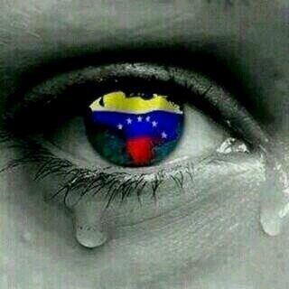 Lconejos's profile picture. null