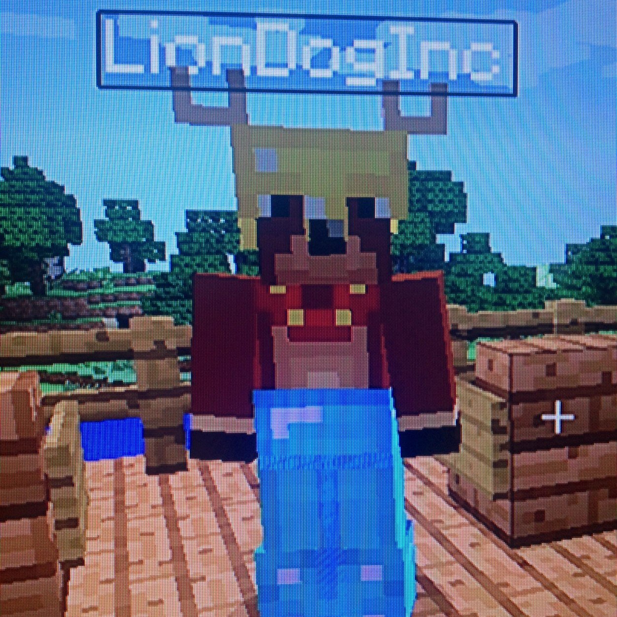 Minecraft PS3 - I'm a Moose who loves Minecraft!