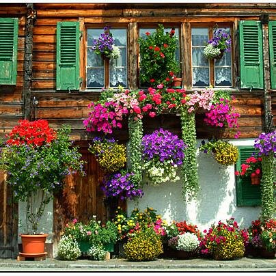 AdaletAdalet7's profile picture. vatandaş