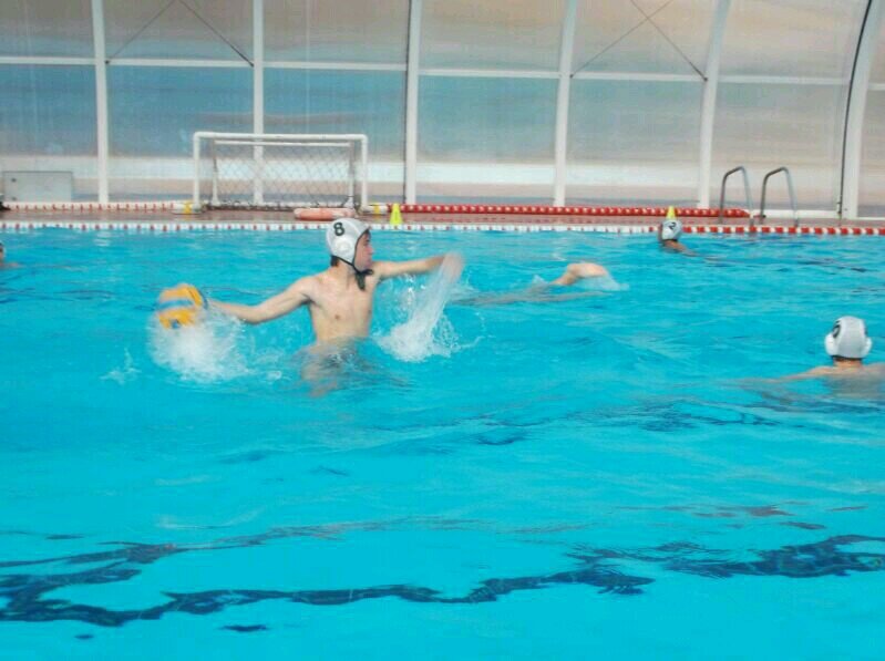 pablowp8's profile picture. 