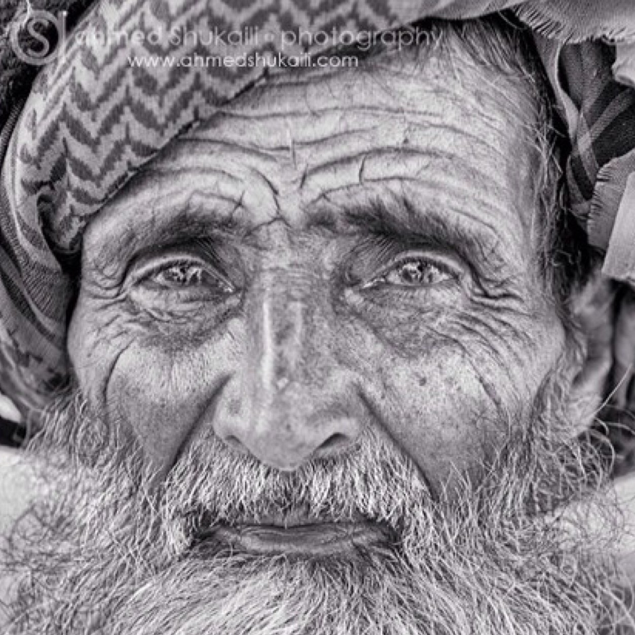 _: سآرحل يوماََ بلا عوده و اتمنى ان ّ لا اكون آذيت #نبض احدكم يوماََ !♡̷̷̷̷̷̷̷” فسامحوني إن اخطأت بحق احد______