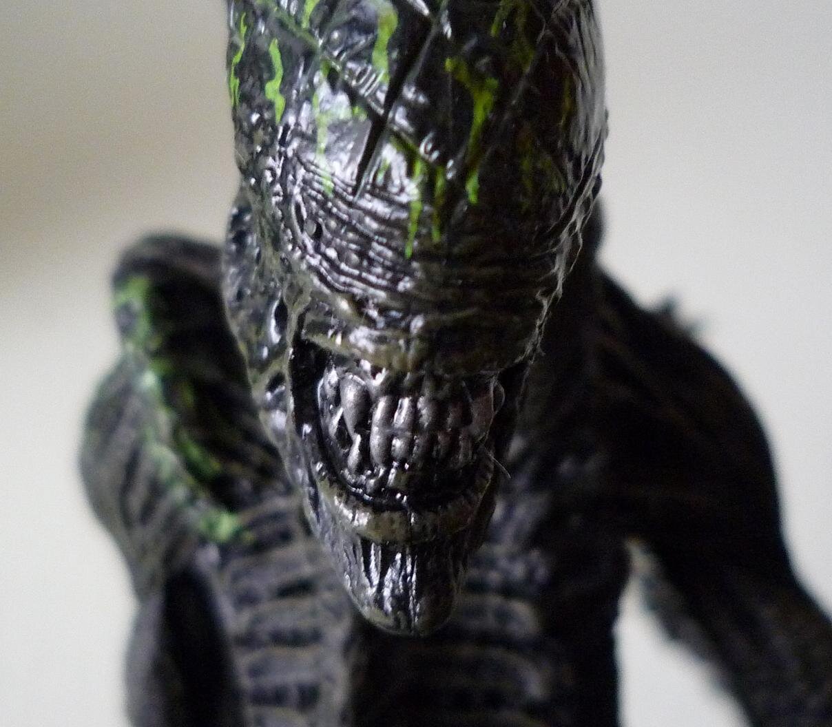 MauricioCarando's profile picture. 