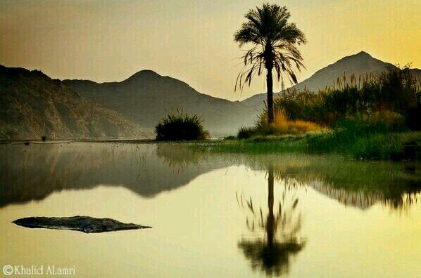 الحياه بصمت