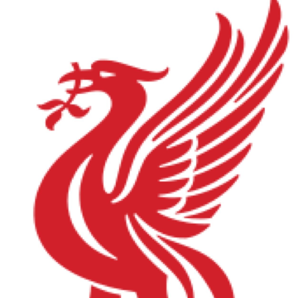 CianOC_Dublin's profile picture. 