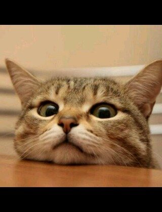 zeroca2's profile picture. 