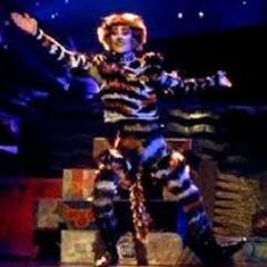 One of a duo. Forever causing chaos. Nothing is safe around me - especially if it's shiny... Mated to @tinyjelliclejem #RP
