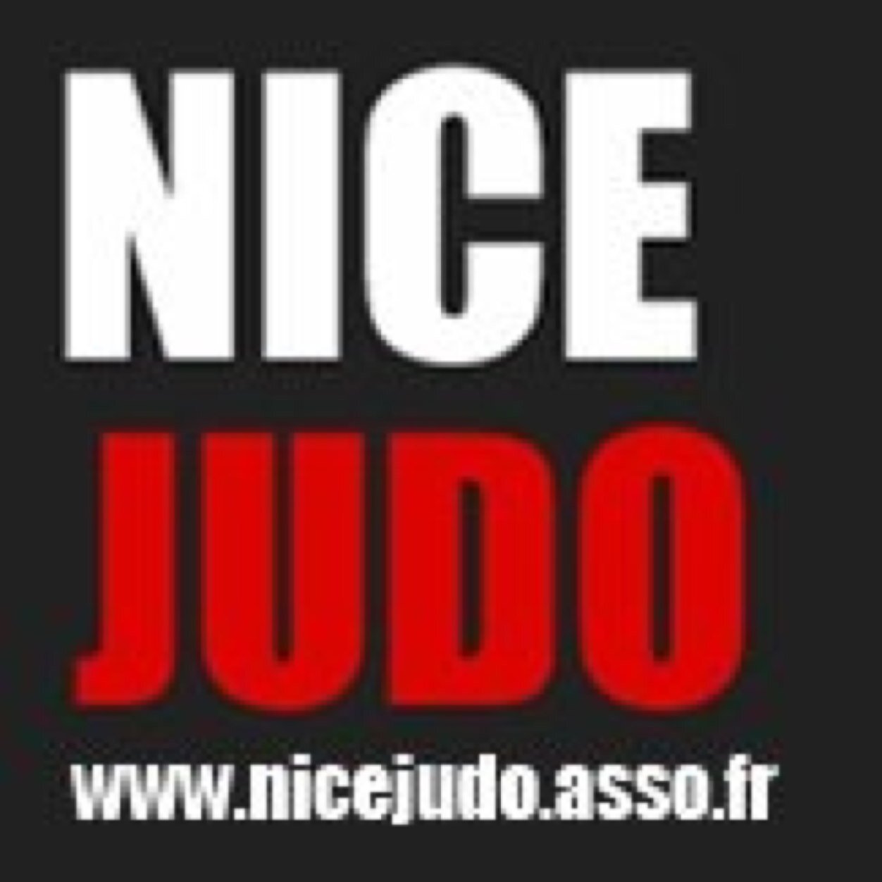 #Champion de France par Equipes Juniors et Vice-Champion de France par Equipes Cadets 2014! 3e au Championnat de France Seniors 2D Nice #Judo, un club formateur
