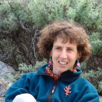 Martha Merson (@mmerson) 's Twitter Profile
