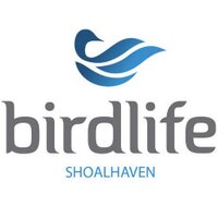 Birdlife Shoalhaven(@BirdlifeShoalha) 's Twitter Profile Photo