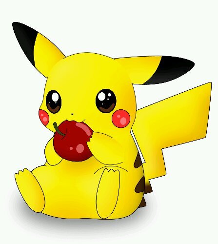 Pokemon Lover