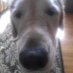 mudder judder (@deucenburg) Twitter profile photo mudder judder (@deucenburg) Twitter profile photo